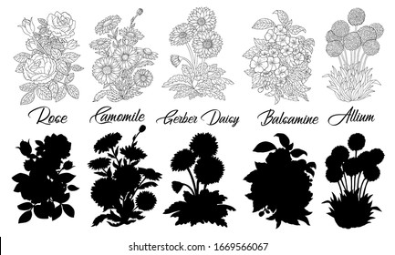 Set of black and white outline flowers - Rose, Daisy, others. Vector botanical illustration and silhouette, line art graphic drawing. See my full collection of plants.