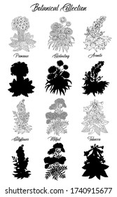 Set of black and white outline flowers - milfoil, aconite, primrose, tobacco. Vector botanical illustration and silhouette, line art graphic drawing. See my full collection of plants.