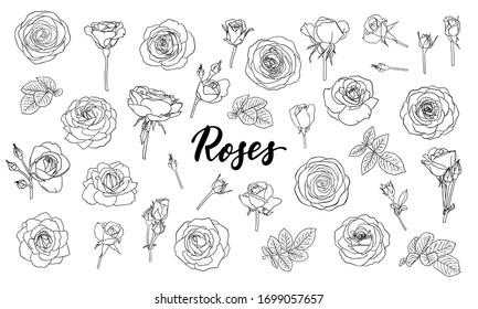 set black   white outline roses  buds   leaves  Floral contour isolated white background  design greeting card   invitation the wedding  birthday  Valentine s Day  mother s day  holiday