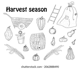 Conjunto de ilustraciones vectoriales en blanco y negro de las actividades de otoño