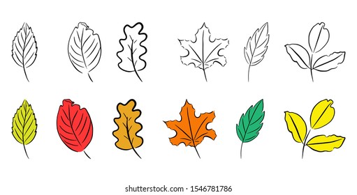 Set of black and white and painted leaves. Vector illustration in doodle style. sketch of colorful autumn and summer leaves. Objects isolated on a white background.