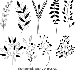 Set of black and white plants. Botanical plant illustration for print, print, scrapbooking, fabric print, cards.
