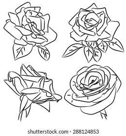 Set of black and white roses sketches