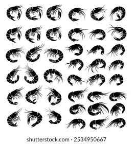 Set of Black and White Shrimp Silhouettes: Vector Illustrations of Prawn and Seafood Icons