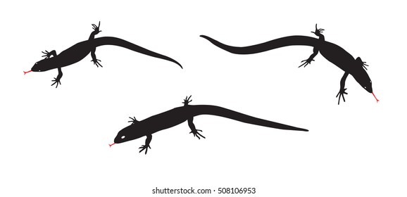 Set of Black and white silhouette of lizard. Vector Illustration. EPS10