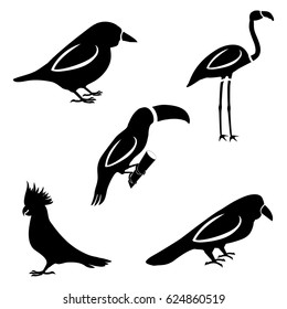 Set of black and white silhouettes of five birds. Raven, sparrow, as well as tropical inhabitants, flamingos, parrot and toucan.