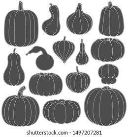 Set of black and white silhouettes with pumpkins of different shapes. Isolated vector objects on white background.