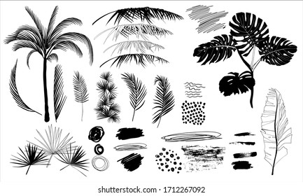 a set of black and white silhouettes of tropical palms leaves and hand drawn elements in the style of Scrabble isolated on white