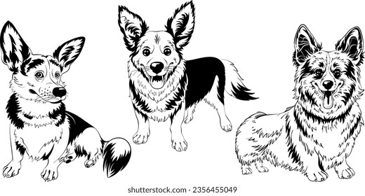 Set of Black and white sketches of dog Welsh corgi breed smiling