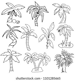 Set of black and white sketches of palm trees, coconuts, hand drawing, white background, vector illustration