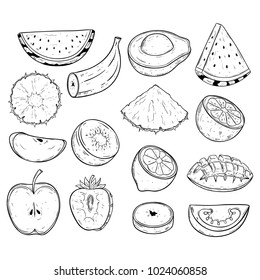 set of black and white sliced fruit with hand drawn style