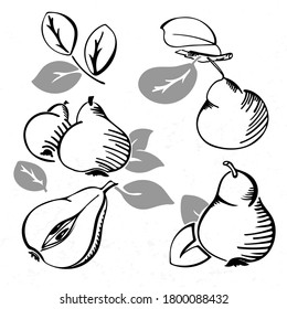 Set of black and white stock vector pears, pear stub with seed, half pear, leaves. Doodle design fruit. Ink, sketch style collection of isolated hand drawn harvest. T-shirt, bag, fabric design.