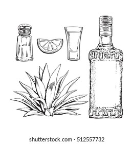 Set black and white of tequila bottle, shot, salt mill, agave and slice lime, sketch vector illustration isolated on background. Set of hand drawn tequila glass and bottle, salt, lime and agave cactus