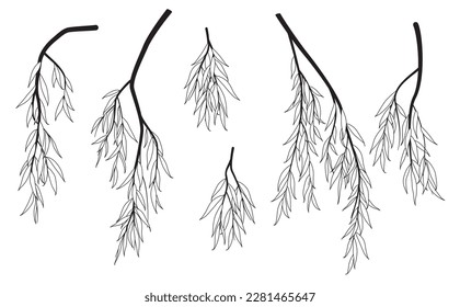 Set of black and white tree branches with leaves isolated on blank background. Vector monochrome weeping willow tree line art illustration. Outline deciduous plant element.