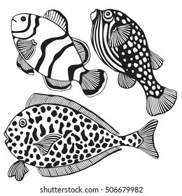 Set of black and white tropical fish.