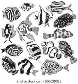 Set of black and white tropical fish. Exotic fish. Coloring book page for adult. Monochrome t-shirt print.