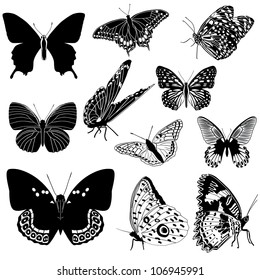 Set of black and white vector butterflies