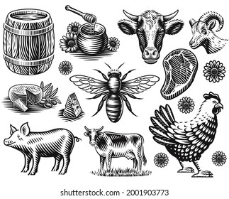 A set of black and white vector illustration of farm animals in a vintage style isolated on white background