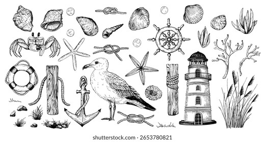 Um conjunto de ilustrações vetoriais em preto e branco. Uma variedade de elementos marinhos desenhados à mão, incluindo conchas marinhas, estrelas-do-mar, uma gaivota, farol, âncora, cordas, coral, roda de navio, grama, rochas, plantas.