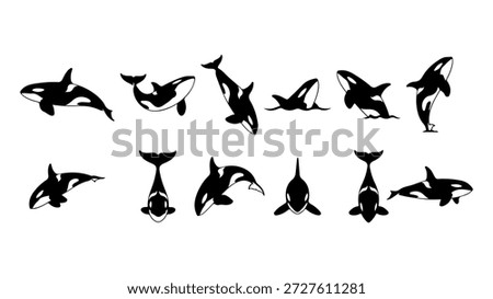 A set of black and white vector illustrations depicting orca whales in different dynamic positions, showcasing their iconic markings and forms.
