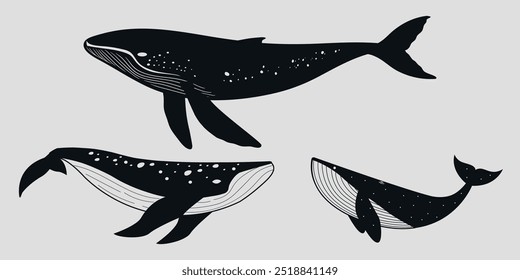 Set of black and white whales. Vector on a gray background