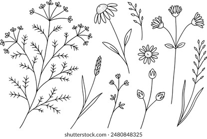 Set of black and white wildflowers and herbs