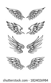 Set of black and white wing illustration 