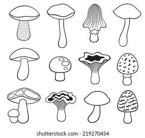 99,281 Mushrooms black white Images, Stock Photos & Vectors | Shutterstock