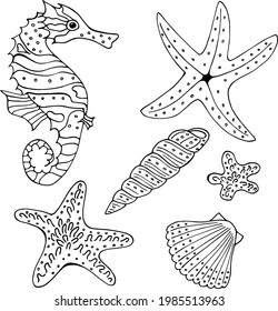 Set with black-and-white sea shells, seahorse and starfish on white background. Vector image.
