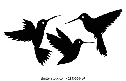 Set of blackbird silhouettes. Vector elements for design.