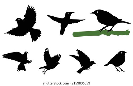 Set of blackbird silhouettes. Vector elements for design.