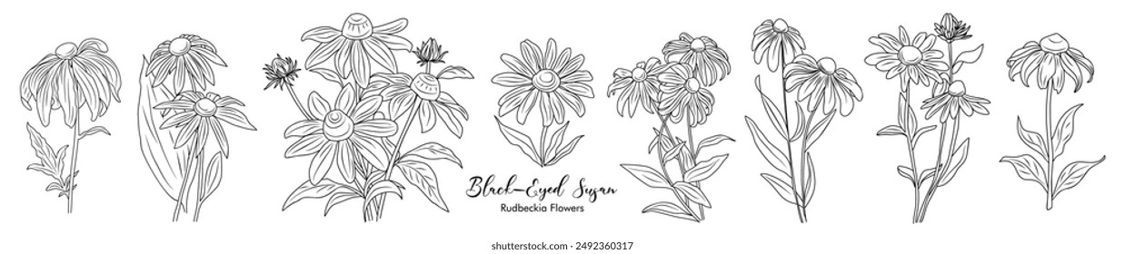 Set Black-eyed Susan flowers with leaves and buds line art vector botanical illustrations on white background. Contour Rudbeckia flower design for logo, tattoo, wall art, branding, packaging.