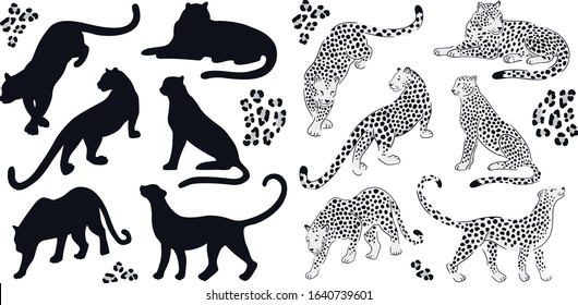 Set of black-white leopards and black silhouettes. Vector hand-drawn design on the white background.