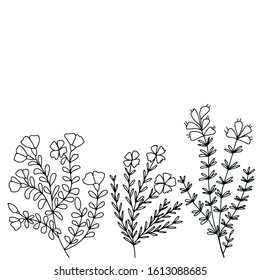 Set of black-white twigs and meadow flowers on a white background. Vector graphics in doodle stile for greeting cards, botanical illustrarions, wallpapers.