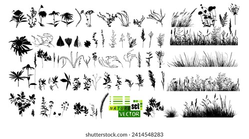 A set of blades of grass. hand drawing. Not AI. Vector illustration