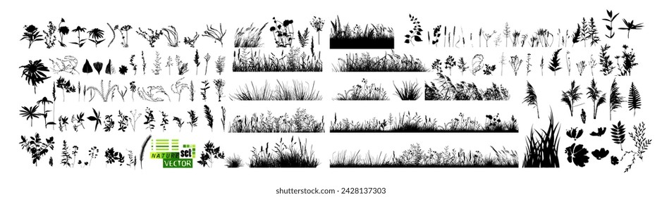 A set of blades of grass. hand drawing. Not AI. Vector illustration