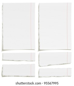 Set Of Blank Squared And Lined Paper Sheets Or Notepad Pages