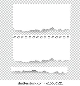 Set of blank Torn paper sheets. Vector note pieces collection with sticky tape