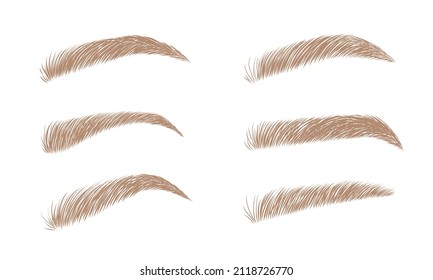 Set of blonde eyebrows in different shapes. Linear vector Illustration in trendy minimalist style. Brow bar logo.