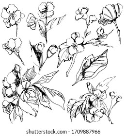 Set with blooming apple tree. twigs with a flower. flowering fruit trees, apricot, hanging, apple tree. botanical illustration. twigs in bloom. Floral set for textiles, wallpaper, packaging. 