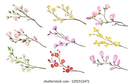 Set of blooming branches of fruit trees. Twigs with flowers and green leaves. Nature theme. Detailed flat vector icons