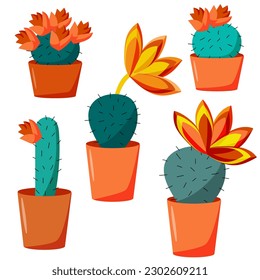 Set of blooming cacti in caspo on white background. Cartoon vector illustration.