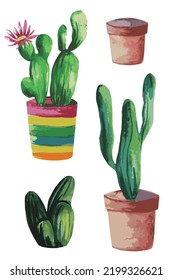 set of blooming cacti in a pot vector illustration houseplant