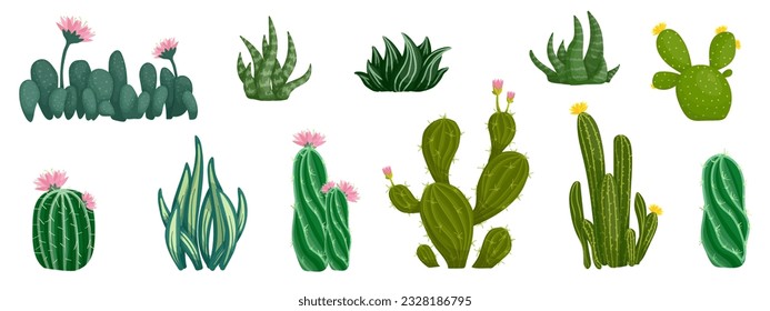 Set of blooming cacti and succulents. Exotic thorny plants. Vector graphics.