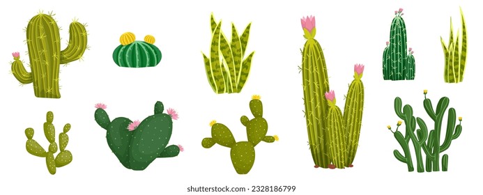 Set of blooming cacti and succulents. Exotic thorny plants. Vector graphics.