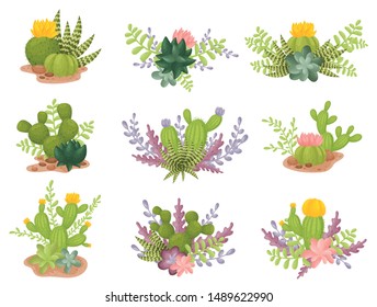 Set of blooming cacti. Vector illustration on a white background.
