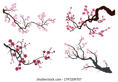 Juego de cerezo en floración. Colección de ramas sakura con brotes de flores. Colorida ilustración de un árbol floreciente. Flores de primavera de cereza japonesa. Obtenido a mano. Tatuajes.