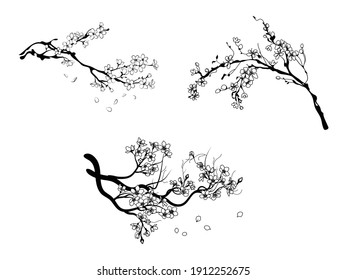 Set of blooming cherry. Collection of sakura branch with flower buds. Colorful illustration of a blossoming tree. Spring flowers of Japanese cherry. Hand-drawn. Tattoos.