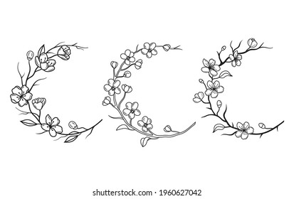 Set blooming cherry wreath  Collection sakura branch and flower buds  Sakura crescent moon  Colorful illustration blooming tree  Spring flowers Japanese cherry  Wedding flower  Tattoos 