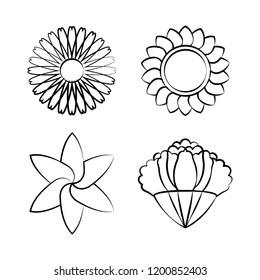 Satz blühender Blumen-Zeichentedesign-Vektorgrafik